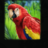 island princess bird symbol