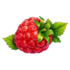 j mania triple jam red raspberry symbol