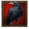 jack o wild crow symbol