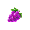 jackpot joker fever grapes symbol
