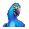 jaguar riches parrot symbol