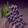 jester temptation grape symbol