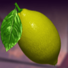 jester temptation lemon symbol