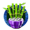 jin qian bao bamboo symbol