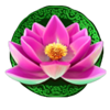 jin qian bao lotus symbol