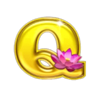 jin qian bao q symbol