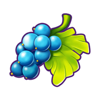 joker 5 grape symbol