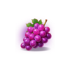 joker coins expanded grape symbol