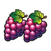 joker vs joker grapes symbol