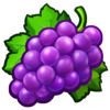 juicy fruit coins hold and win grape symbol