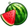 juicy fruit coins hold and win melon symbol