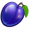 juicy fruit coins hold and win plum symbol