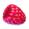 juicy fruits multihold raspberry symbol