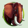 jungle 2 elephant symbol