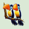 jungle 2 toucan symbol