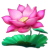 jungle jillions flower symbol