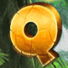 jungle king q symbol
