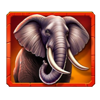 jungle legend elephant symbol