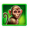 jungle legend monkey symbol