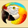 jungle monkeys parrot symbol