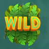 jungle treasure wild symbol