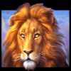 kalahari safari lion symbol