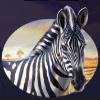 kalahari safari zebra symbol