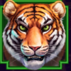 katana klash hold n link tiger symbol