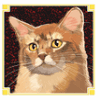 kitty glitter cat2 symbol