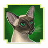 kitty glitter cat4 symbol