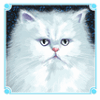 kitty glitter cat symbol