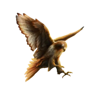 knights gold rush bird symbol