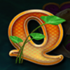 koi fortunes q symbol