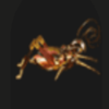 lady fortune cricket symbol