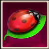 lady wolf moon megaways ladybug symbol