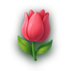 ladybug fortunes tulip symbol