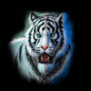 last dragon rings of fortune tiger symbol