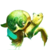 legends of the seas turtle symbol