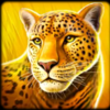lightning gorilla 2 leopard symbol