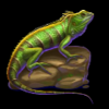 lightning tiger chameleon symbol