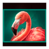 lion gems hold and win flamingo symbol