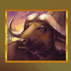 lion gold bison symbol