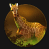 lions pride powerpoints giraffe symbol