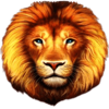 lions riches lion symbol