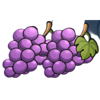 little devil coins purple grapes symbol