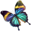 little panda buttferfly symbol