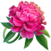 little panda pink flower symbol