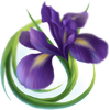 little panda purple flower symbol