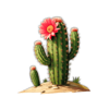 lone star longhorn xmas edition hold and win cactus symbol