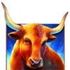 longhorn jackpots bull symbol